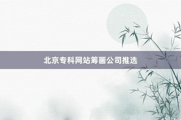 北京专科网站筹画公司推选