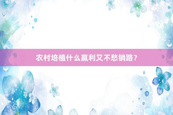 农村培植什么赢利又不愁销路？