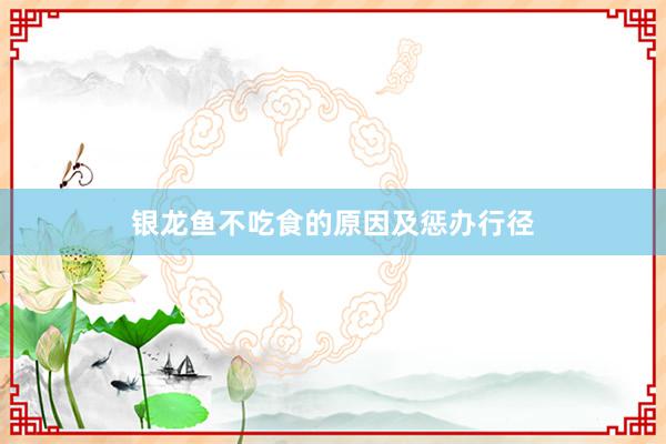 银龙鱼不吃食的原因及惩办行径