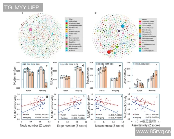 独家解析FPX灵活性对比及其对战术调整的影响分析